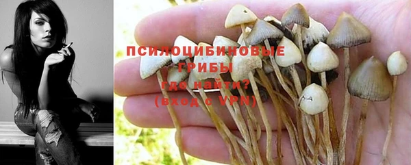 скорость Богородск