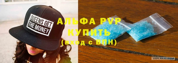спиды Богданович