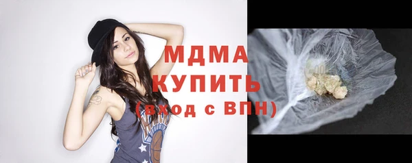 индика Богородицк