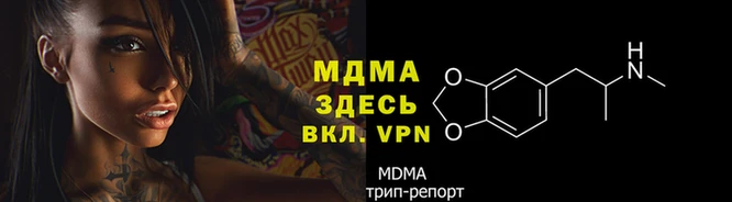 спиды Богданович