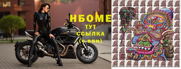 индика Богородицк