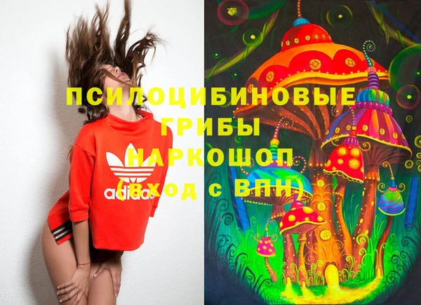 индика Богородицк