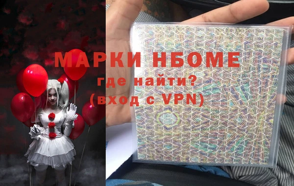 индика Богородицк