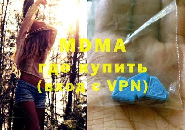 индика Богородицк