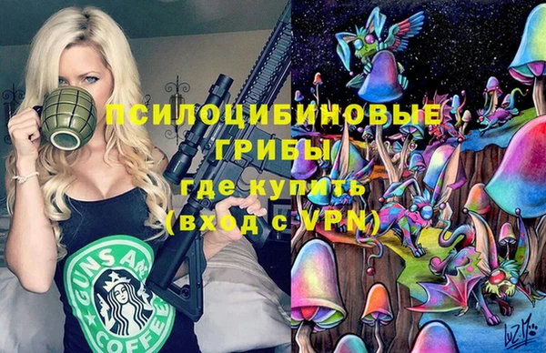 индика Богородицк