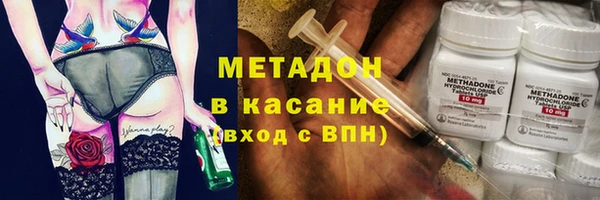 индика Богородицк