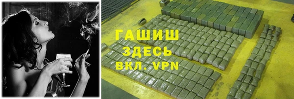 индика Богородицк