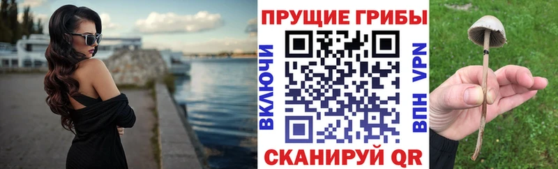 Галлюциногенные грибы мицелий  Кочубеевское 