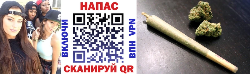 сколько стоит Кочубеевское Бошки Шишки Ganja